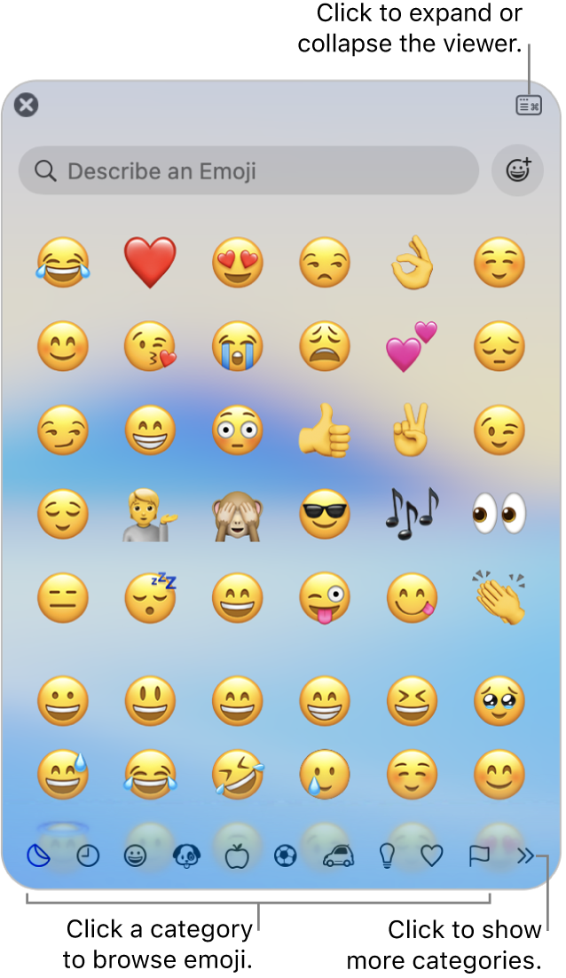 Mac 上的 Character Viewer