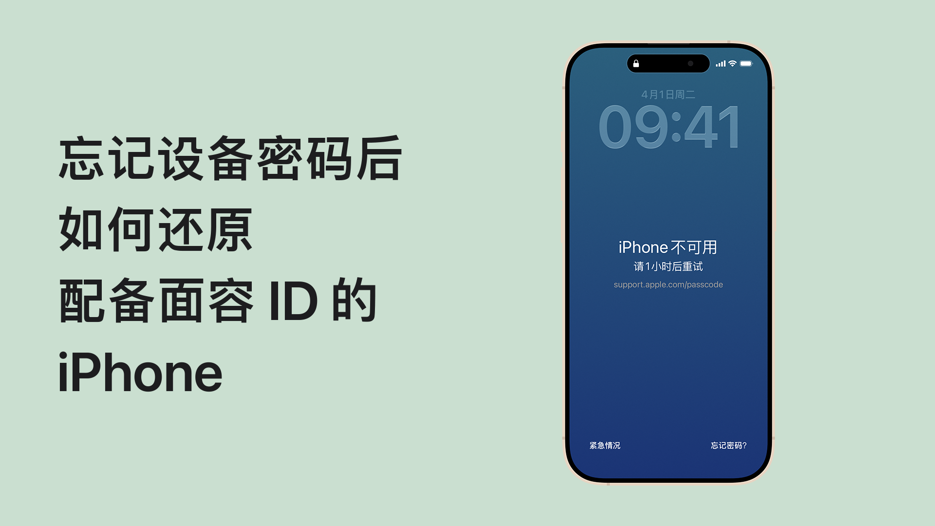 如果你忘记了 iPhone 密码或 iPhone 被停用了