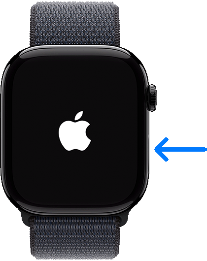 设置你的 Apple Watch