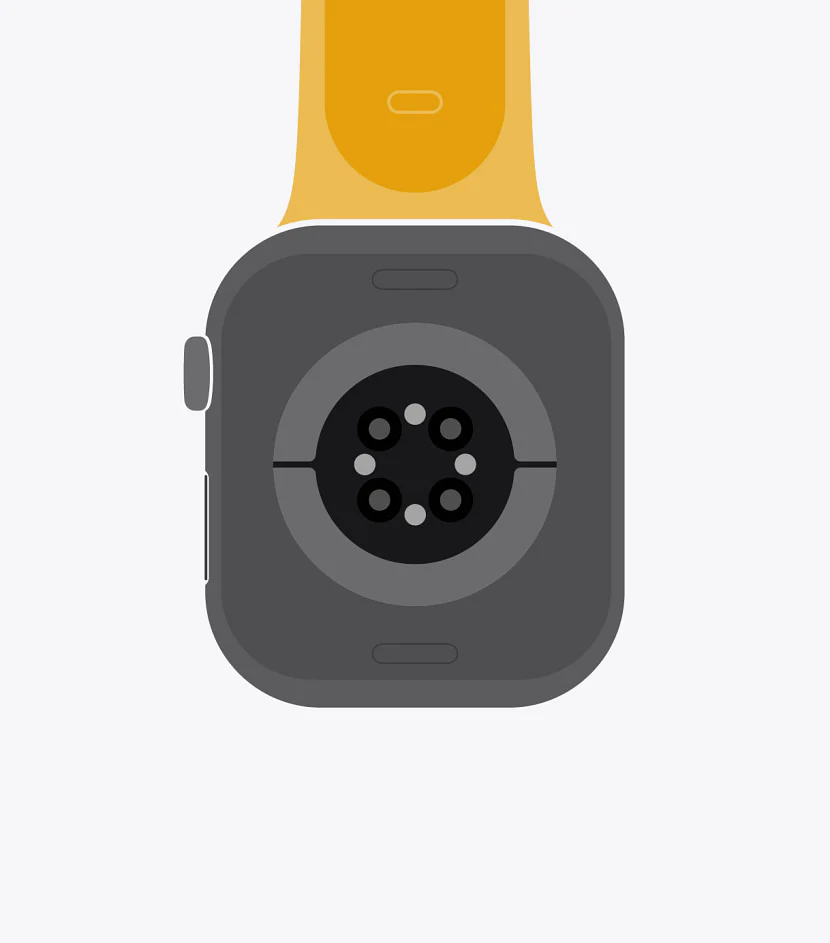 显示从 Apple Watch 脱卸表带的视频。