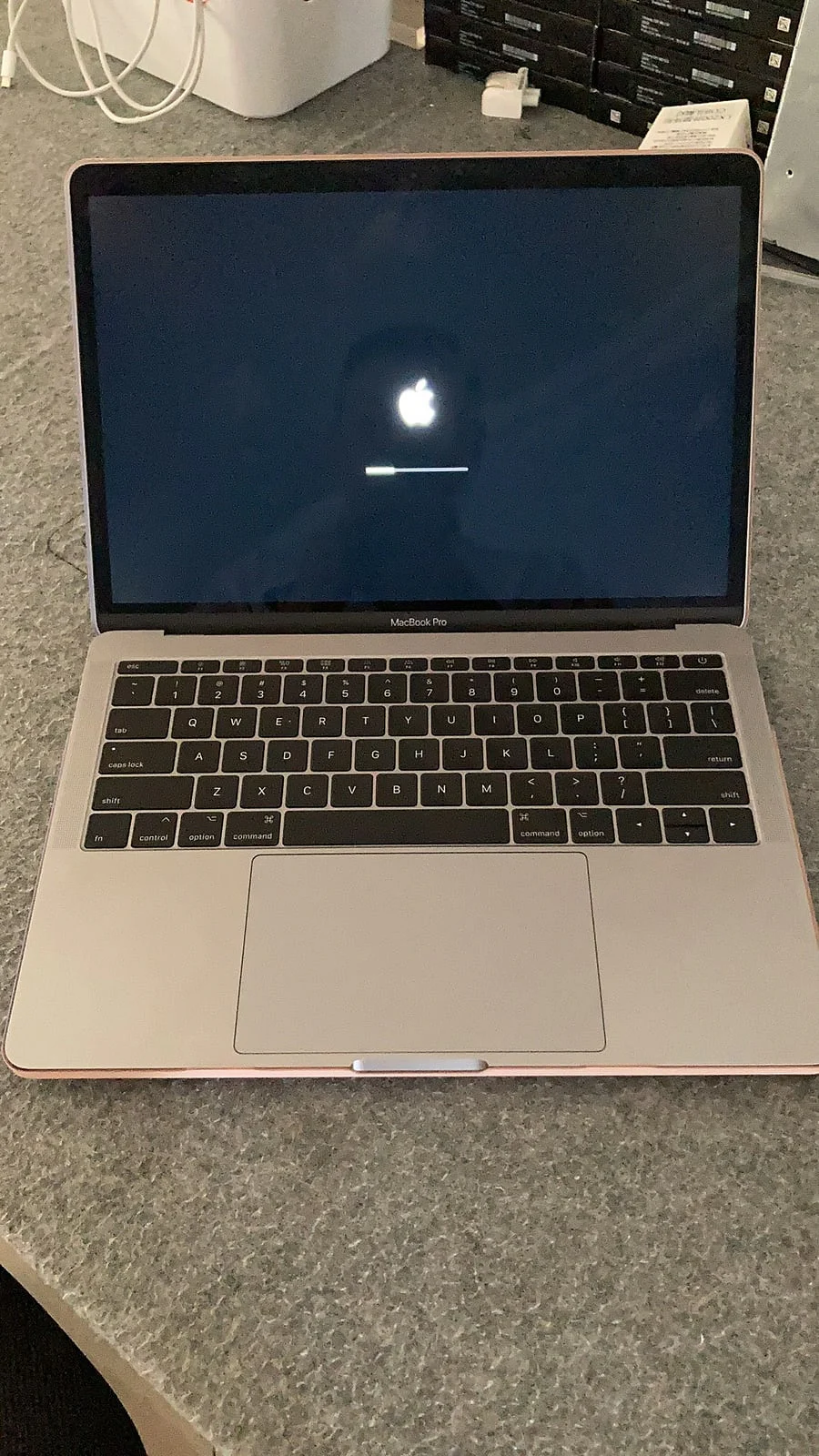 MacBook Pro 开机进度条检查