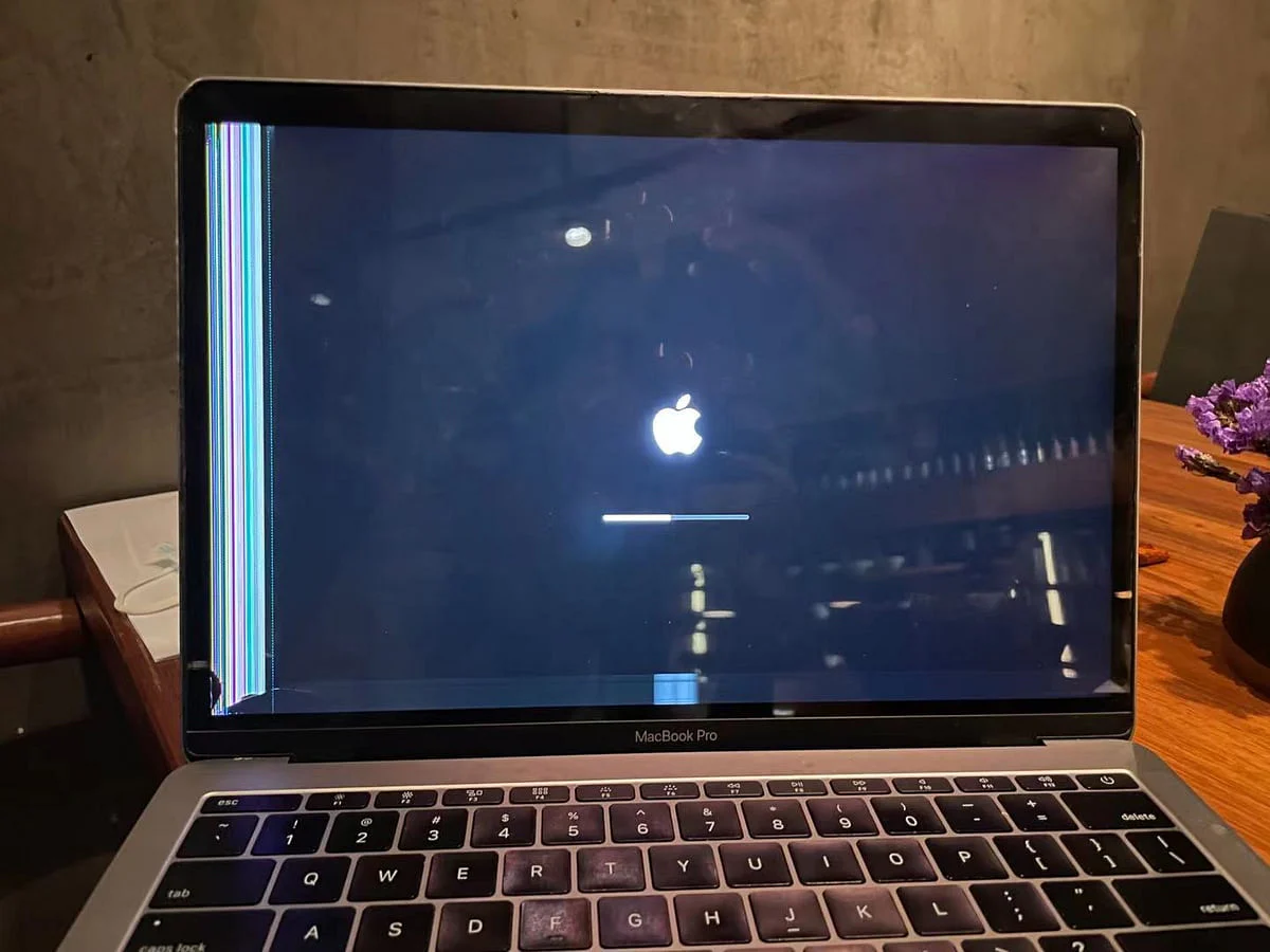 MacBook Pro 启动时屏幕出现竖向彩色条纹:显示状态检查记录
