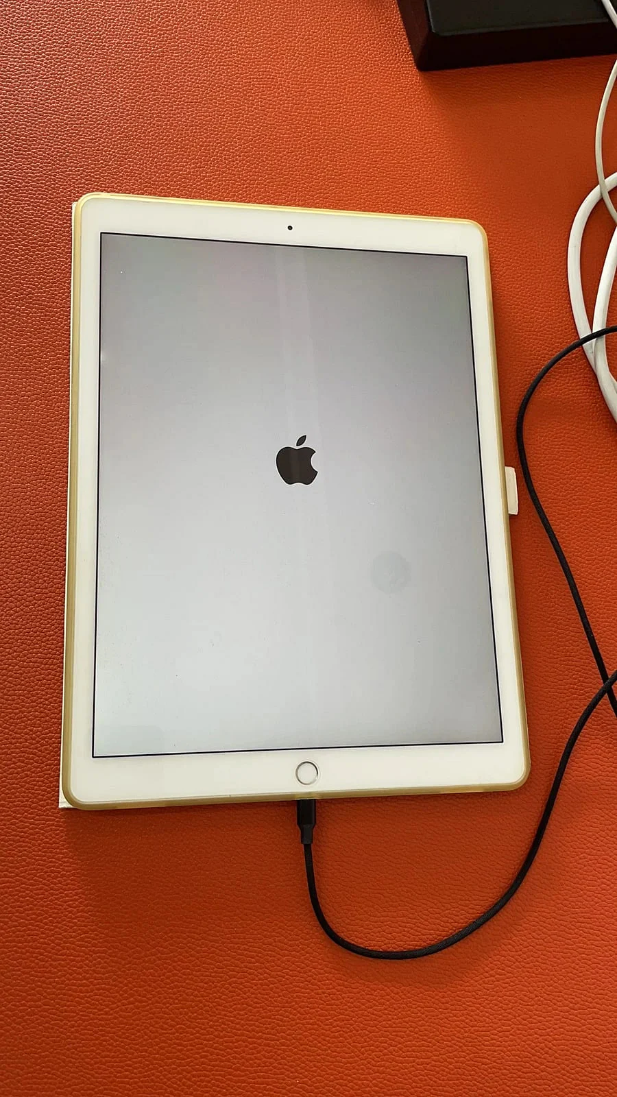 iPad 显示 Apple 启动画面