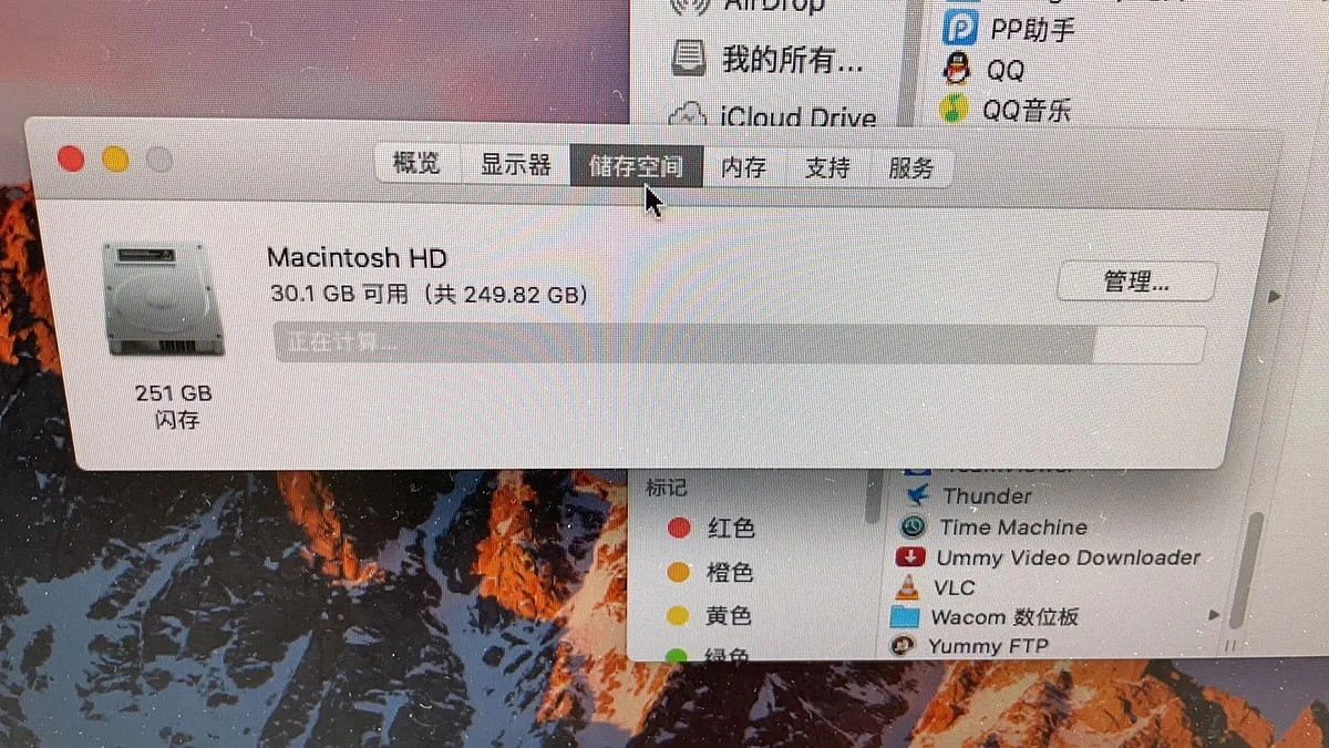 Mac Pro 存储空间窗口显示约 30.1 GB 可用、总容量约 249.82 GB