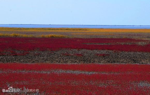 【豪情摄影】盘锦红海滩-5.jpg