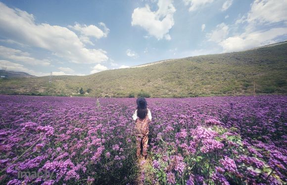 记录一下我的旅行吧:【滇藏新青一年行】 #旅行# #摄影#-4.jpg