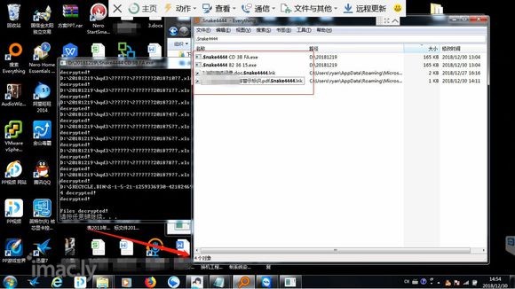 后缀.Snake4444勒索病毒成功解密数据恢复方案方法工具-1.jpg