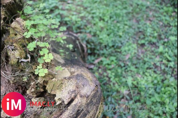 新都摄影的朋友,可以一起扫风景-2.jpg