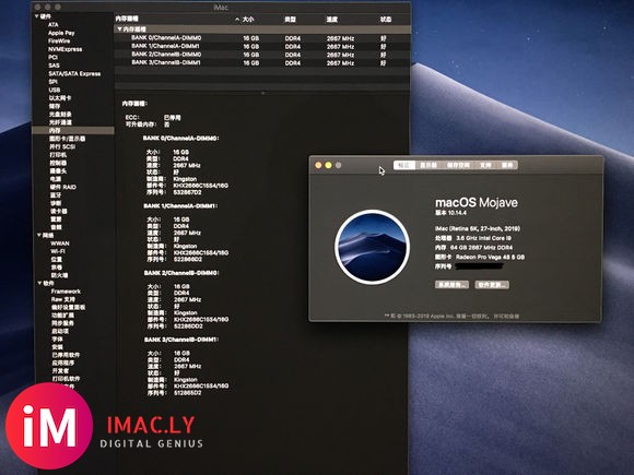 关于2019新款iMac升级内存,求大佬告知-1.jpg