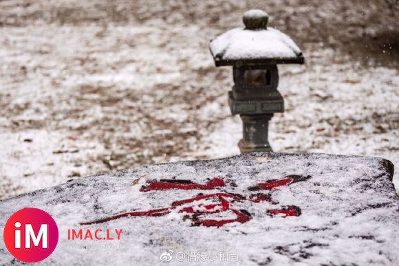 禅意摄影:杭州佛学院初雪(新浪佛学)-1.jpg