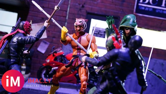 【摄影】Green Arrow & Bronze Tiger-4.jpg