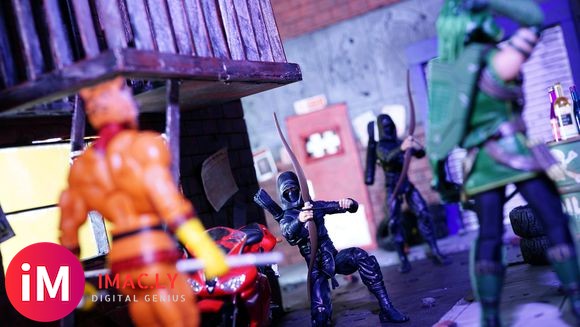 【摄影】Green Arrow & Bronze Tiger-1.jpg