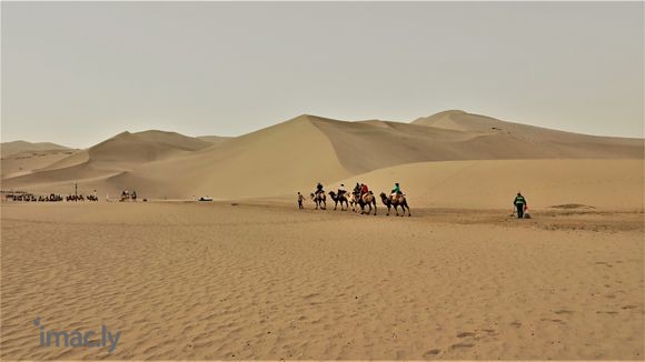 赞美你——鸣沙山(我的摄影)-1.jpg