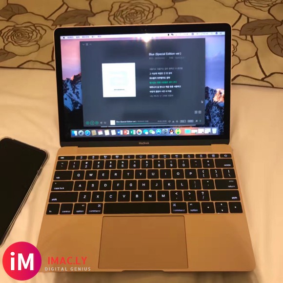 macbook 玫瑰金12寸的,8G 256G 电池循环67-2.jpg