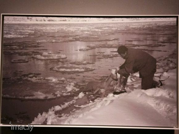 影像见证40年――全国摄影大展【下】-9.jpg