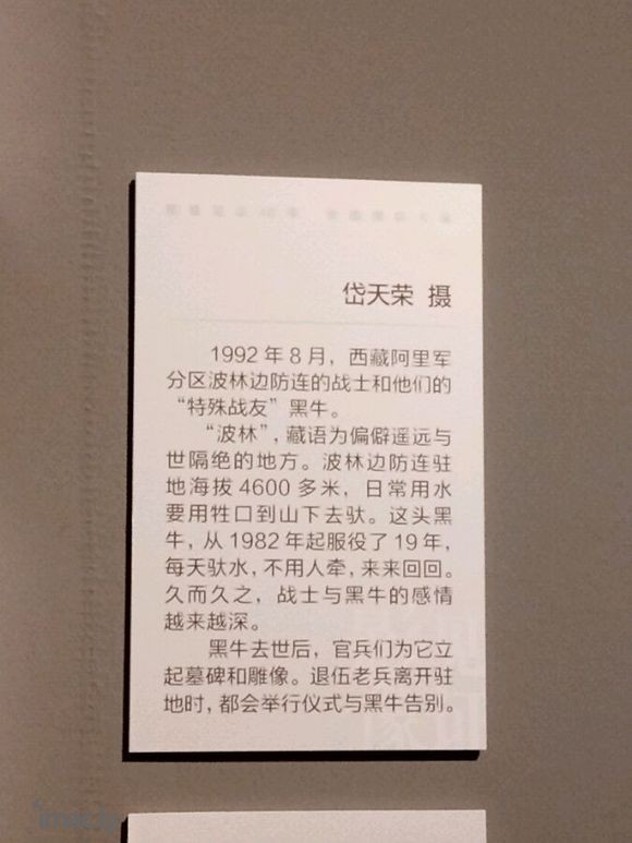 影像见证40年――全国摄影大展【下】-6.jpg