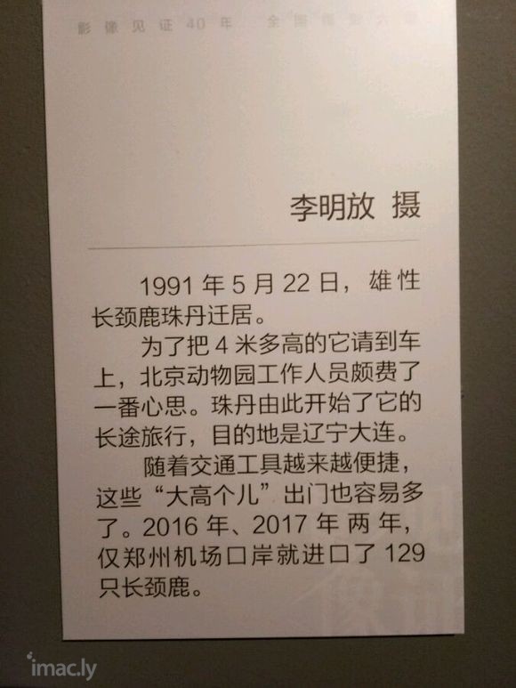 影像见证40年――全国摄影大展【下】-6.jpg