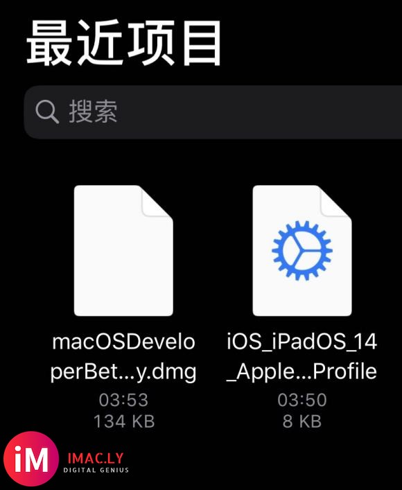 iOS14 iPad OS14 Mac Big Sur一网打-3.jpg