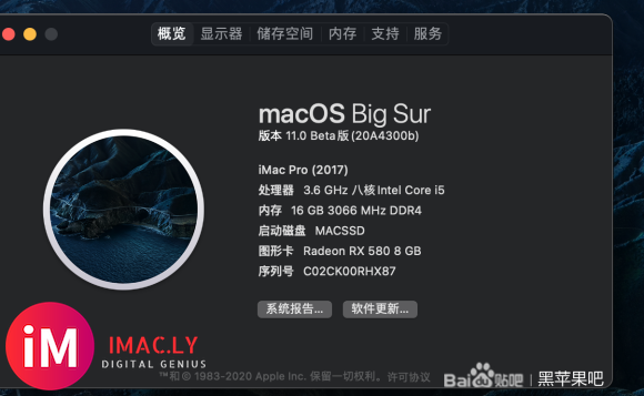 AMD 1700 rx580成功macOS Big Sur 11.0-1.jpg