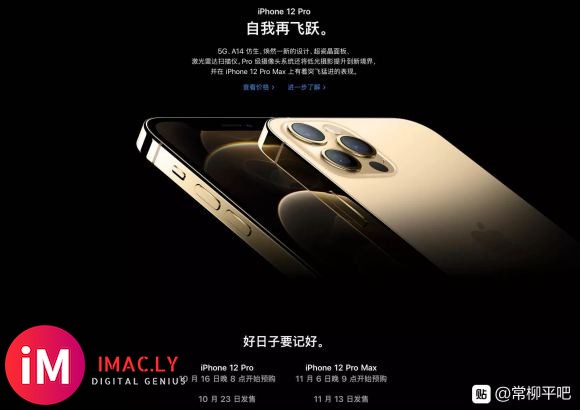 【平哥】8499起 iPhone12Pro/Max发布 全系-2.jpg