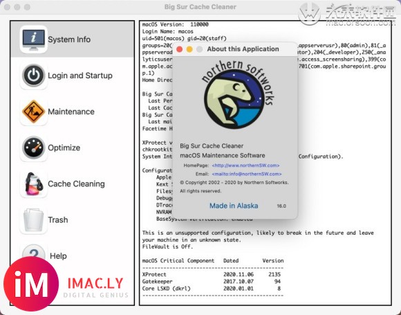 Big Sur Cache Cleaner for Mac(系统缓存清理维护工具)-1.jpg