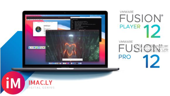VMware Fusion Pro 12 Mac(vmware虚拟机)支持11.0 Big Sur-1.jpg