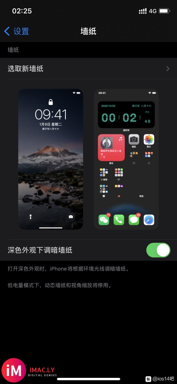 这个墙纸主屏幕的算是bug ? iOS14.0.1-1.jpg