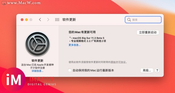 macOS Big Sur 11v11.3Beta5版-1.jpg