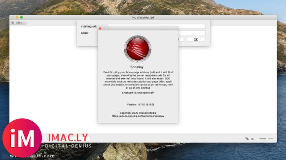 Scrutiny 9 Mac网站分析检测工具v9.11.0版-1.jpg