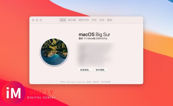 macOS Big Sur 11 v11.3beta8版-1.jpg