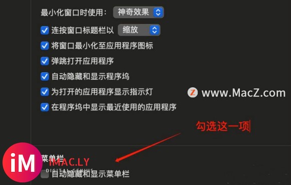 如何在macOS Big Sur系统中隐藏菜单栏?-4.jpg