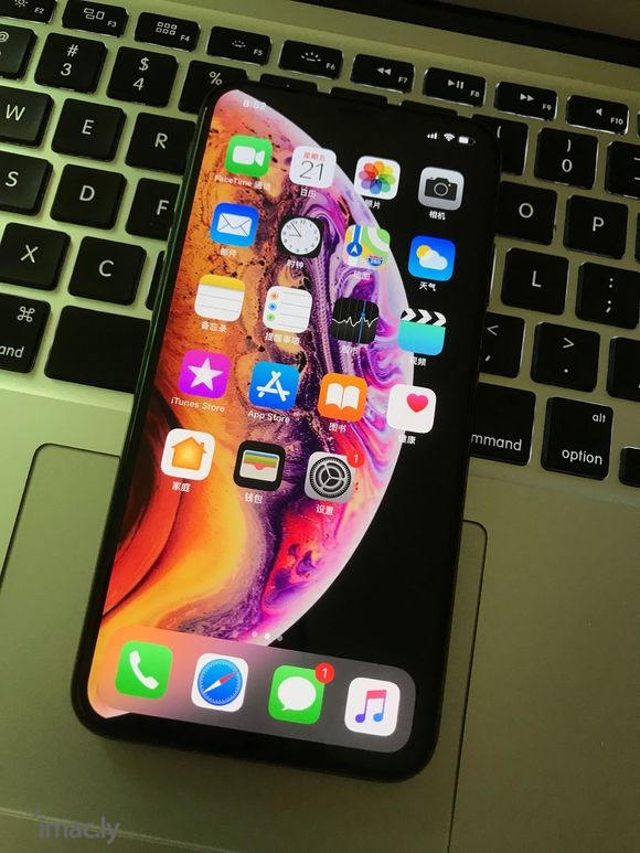 iPhoneXSmax双卡其实就是正反两面的啊。不过大屏超爽-1.jpg