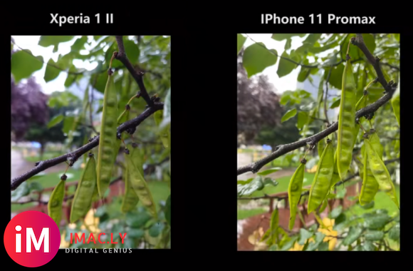 分享几组Xperia1 ii 和 iPhone11 Promax的拍照对比图 你更喜欢哪-2.jpg