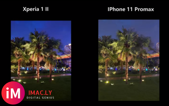 分享几组Xperia1 ii 和 iPhone11 Promax的拍照对比图 你更喜欢哪-7.jpg