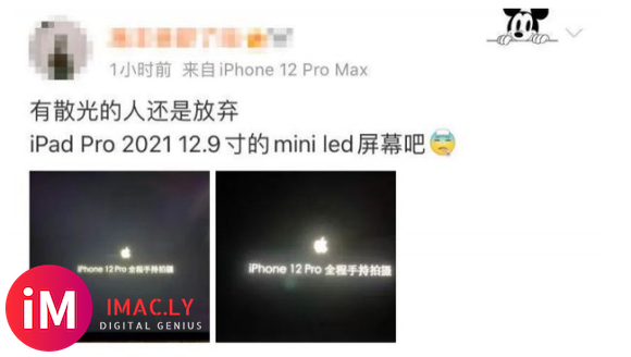 史上最强iPad Pro翻车了?mini LED屏幕被曝存在绿屏及漏光问题-2.jpg