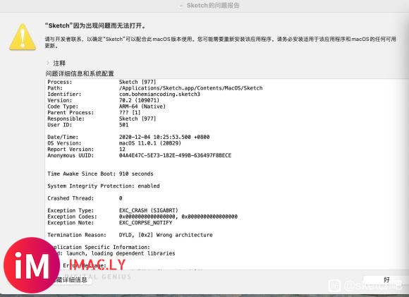 M1芯片打不开sketch,系统11.0.1-4.jpg