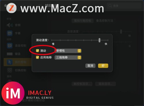 苹果Mac Big sur怎样设置触控板滚动不带惯性?-5.jpg