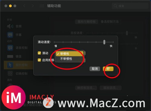 苹果Mac Big sur怎样设置触控板滚动不带惯性?-6.jpg