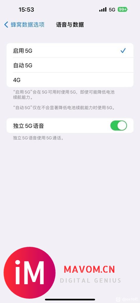 请问家人们苹果13系列IOS16.3有5G独立语音开关吗?-1.jpg