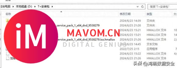 SQL Server 用户应当如何防范 Mallox (.hmallox) 勒索软件袭击-1.jpg