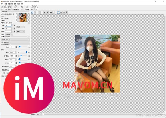 PhotoZoom Pro 9.0.4中文特别版：图像放大的艺术新境界-1.jpg