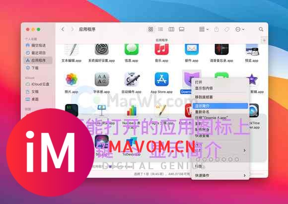 Apple ARM M1 应用安装后运行闪退、无法激活怎么办?-2.jpg