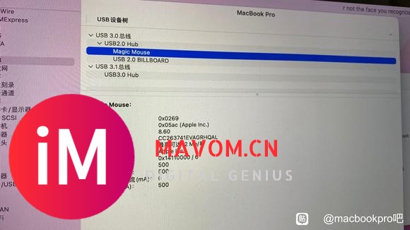 Magic Mouse 2链接电脑这样显示，是不是买到假货了-3.jpg