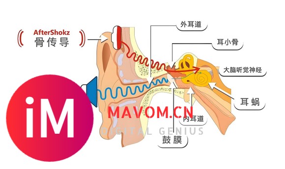 骨传导蓝牙耳机品牌前五名解析：骨传导耳机爆款多方位专业测评-2.jpg