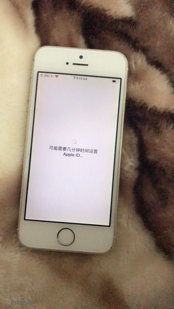 我的5s是不是废了,一直在设置Apple ID-1.jpg