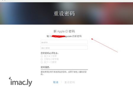 苹果id忘记账号密码怎么找回-6.jpg