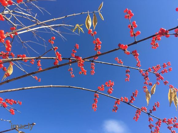 想学学摄影,看半天书也拍不出个好看点的-5.jpg